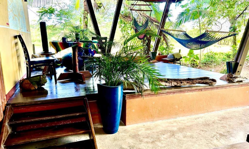 Luminosa Uvita Hostel Luaran gambar