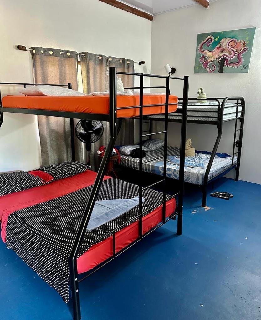 Luminosa Uvita Hostel Luaran gambar